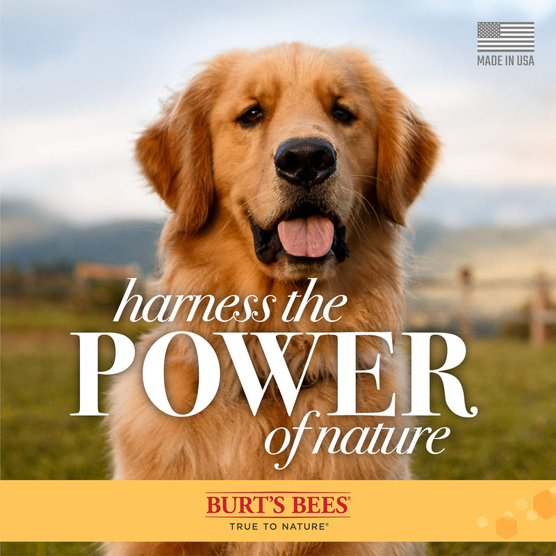 Burt's Bees for Pets Naturally Derived Calming Dog Shampoo with Lavender and Green Tea - Cleansing Lavender Dog Shampoo - Cruelty Free, Made in USA, 16 oz Unscented 16 Fl Oz (Pack of 1) - PawsPlanet Australia