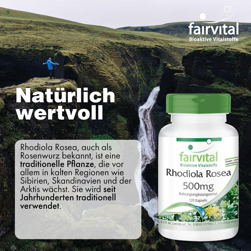[Australia] - Fairvital | Rhodiola Rosea Capsules 500mg - 120 Capsules - Roseroot Root Extract - HIGH DOSE - Vegan - 3% Rosavin (15mg) / 1% Salidroside (5mg) 