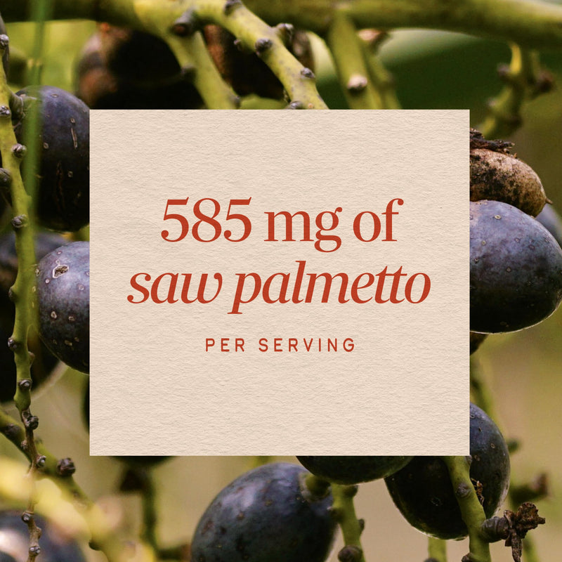 Nature's Way Saw Palmetto Berries, Traditional Prostate Support*, 180 ct | Herbal Supplement for Men, 585 mg per Serving, Non-GMO Project Verified, Vegan Capsules, 180 Vegan Capsules 180 Count (Pack of 1)