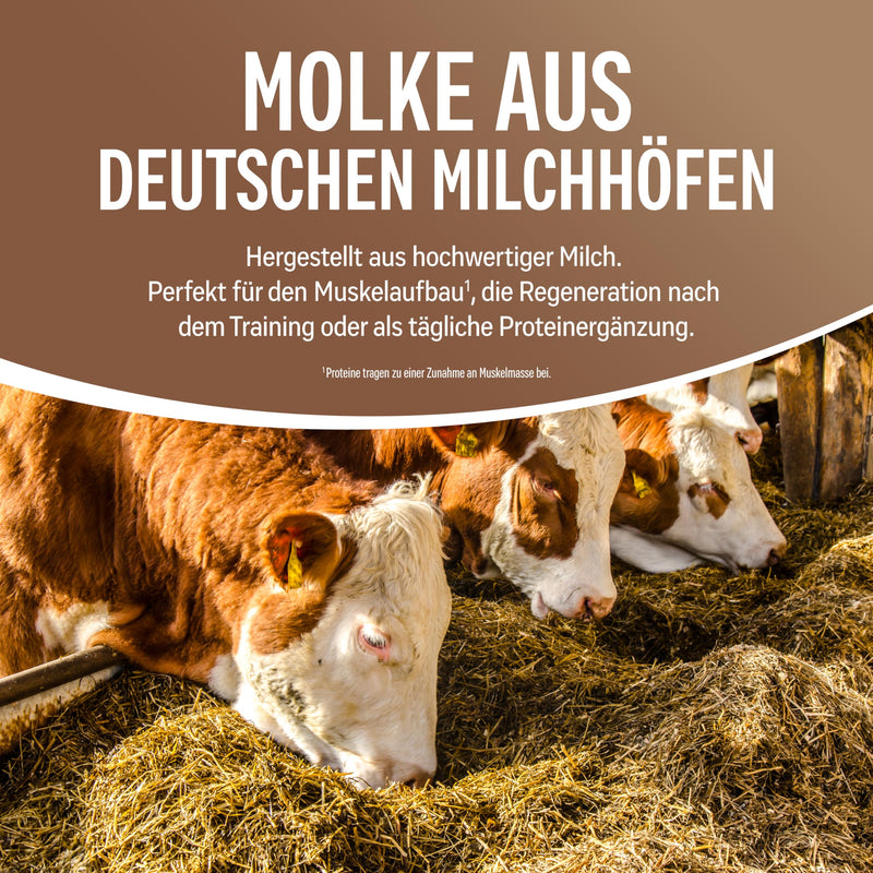 [Australia] - NATURELETICS CHOCOLATE, 1kg, no sweeteners, no added sugar, natural premium whey protein concentrate from Germany, real chocolate taste, protein powder with a high BCAA content 