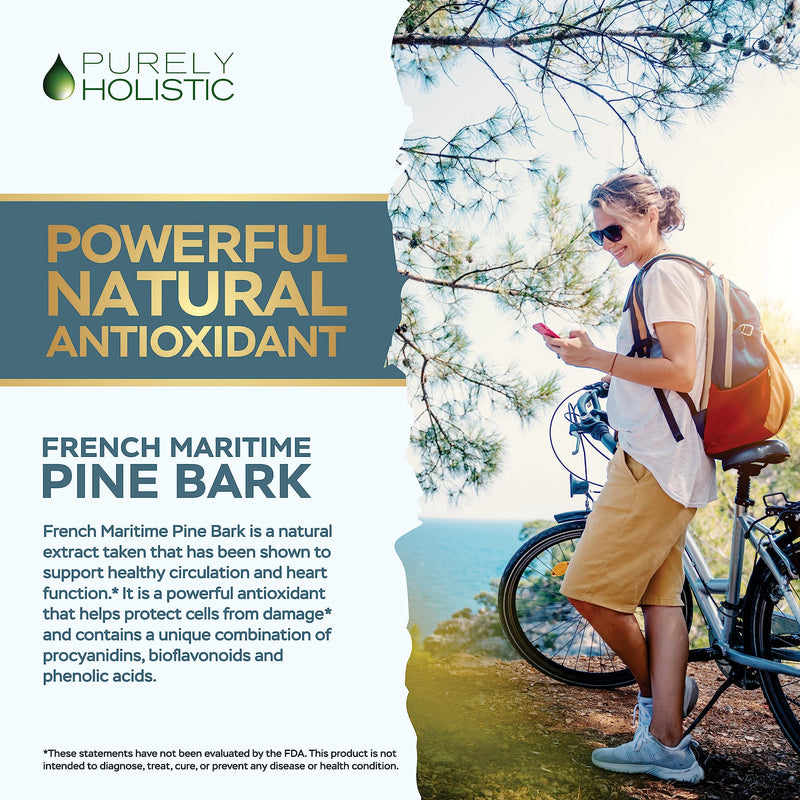 [Australia] - Purely Holistic Pine Bark Extract 350mg 180 Vegan Capsules 95% Proanthocyanidins - French Maritime Pine Bark Extract - Non GMO & Pesticide Free Antioxidant Supplement 