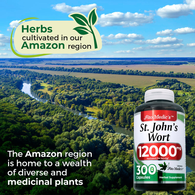 [Australia] - FITO MEDIC'S St. Johns Wort | St. Johns Wort Leaf Capsules | 300 Capsules | Concentrated Extract | Highly Absorbable Herbal Supplement 