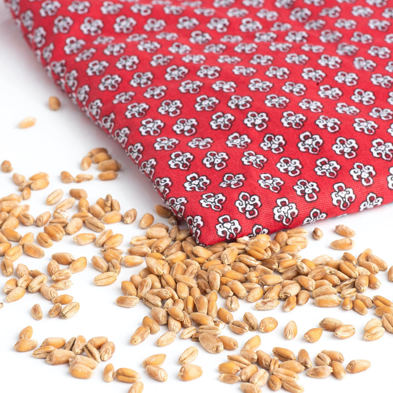 [Australia] - Exclusive Renate's grain pillow - cotton heat pillow - microwave - size XL (approx. 60x40cm) with organic wheat - first-class warmth in winter - for tall people - gift idea (red, XL) red 