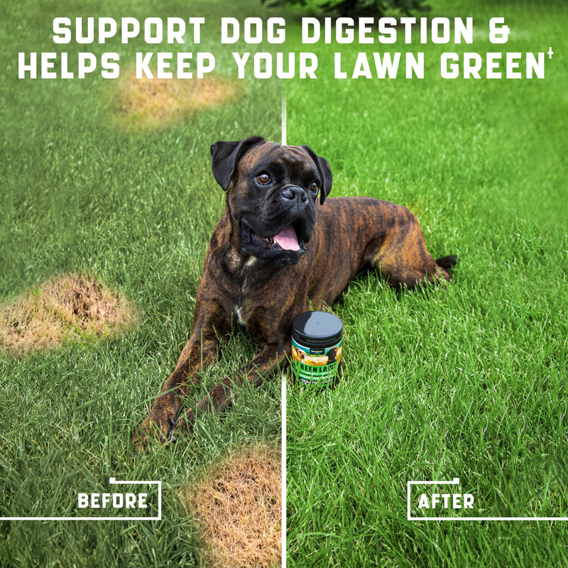 Green Lawn Chews for Dogs - Natural Dog Urine Neutralizer for Lawn with Cranberry, Probiotics, ACV & Digestive Enzymes - 180 Chews for Healthy Bladder, Urinary Tract - Grass Burn, Yellow Spots Treats Duck - 180 Chews (Pack of 2) - PawsPlanet Australia