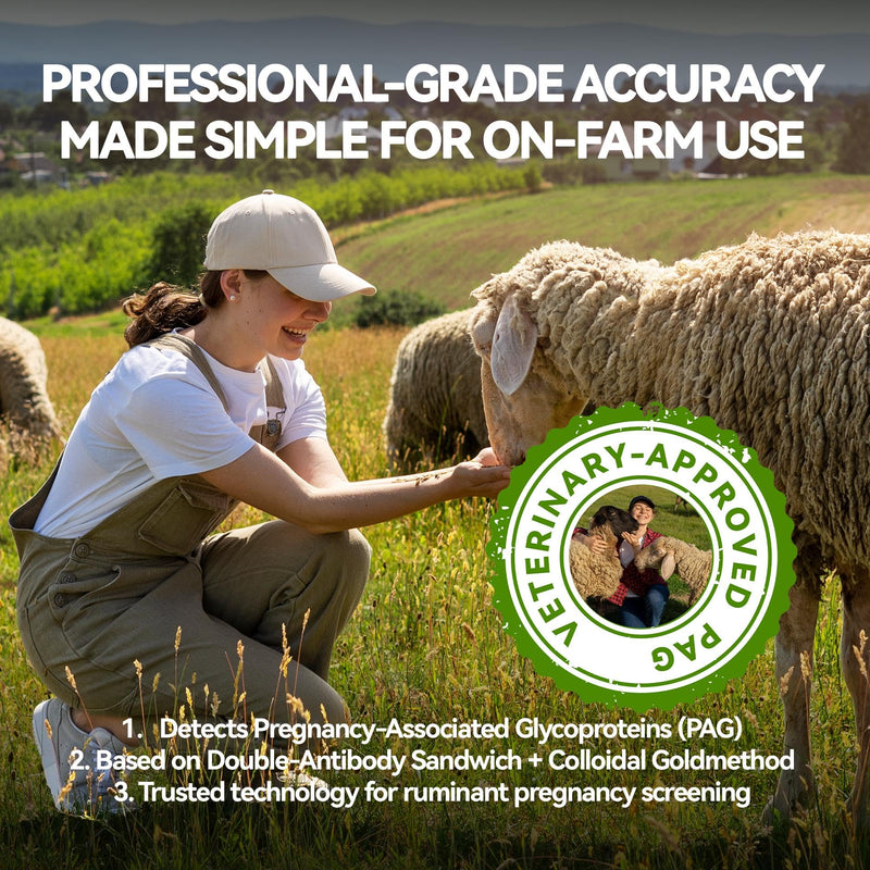 Sheep/Ovine/Goat Early Pregnancy (PAGs) Rapid Test Kit - 2 Tests, Hormones (PAGs), Whole Blood/Serum/Plasma Testing, Detect Pregnancy as Early as 28 Days Post-Breeding