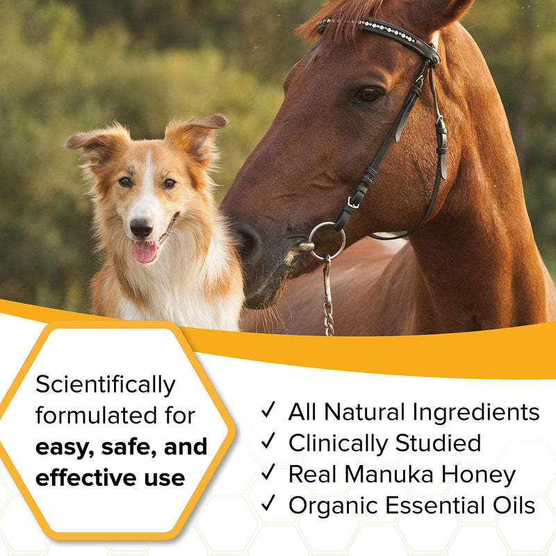 Natural Veterinary Ointment for Wound Care, Manuka Honey, for Dogs, Cats, & Horses, 1oz. Tube 1 Oz. - PawsPlanet Australia