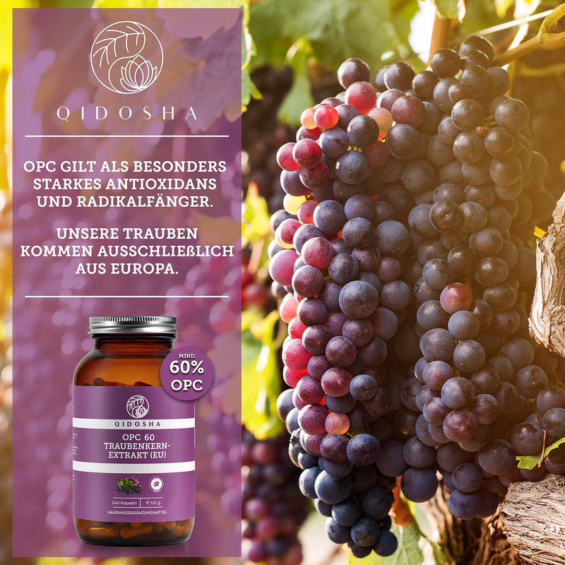 [Australia] - QIDOSHA® Premium OPC grape seed extract high dosage I TEST WINNER 08/2023* I 240 pieces in a glass I OPC capsules high dosage with 60% pure OPC I 800mg grape seed extract with 480mg OPC per daily dose I vegan glass (240 capsules) 