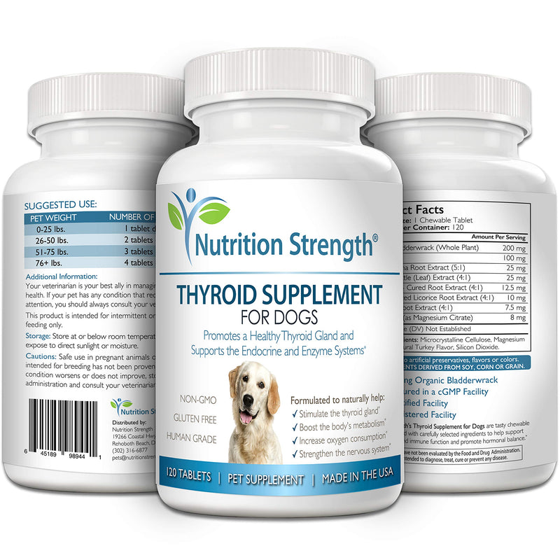 Thyroid Supplement for Dogs, Support for Hypothyroidism in Dogs with Organic Bladderwrack, Promotes Normal Function of Endocrine and Enzyme Systems, 120 Chewable Tablets - PawsPlanet Australia