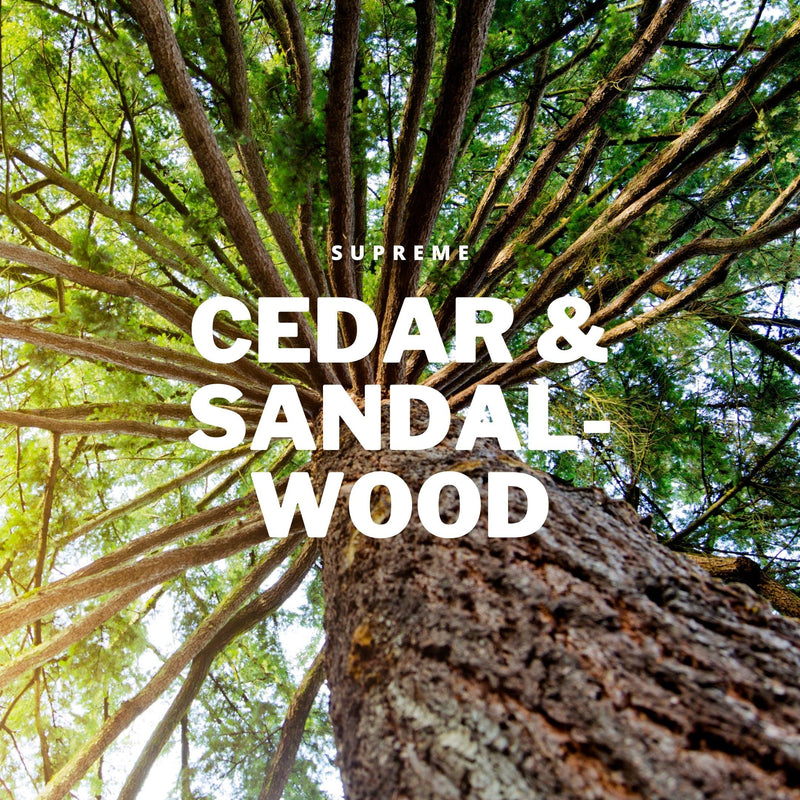[Australia] - Beard Wax Cedar Wood Sandalwood - Beard Stubble © Oud Wood Oak Supreme Beard Care - Men's Biotin Beard Growth - with Argan Oil Jojoba Oil Castor Oil 30 ml (Pack of 1) 