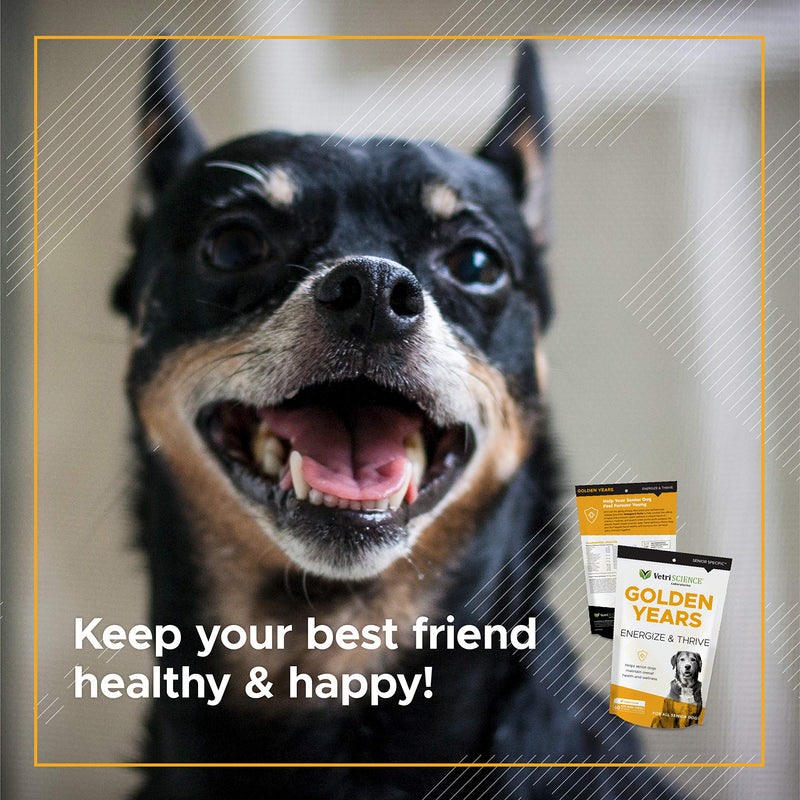 VetriScience Golden Years Energize and Thrive Complete Daily Multivitamin with BCAAs for Senior Dogs, Chicken, 60 Chews - PawsPlanet Australia