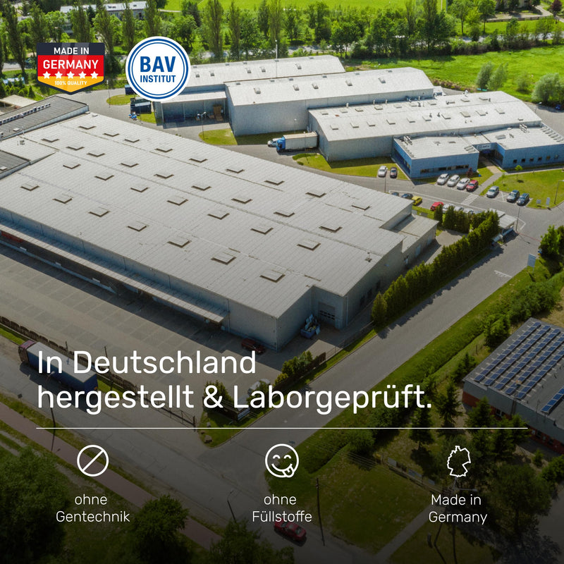 [Australia] - Cyclic Dextrin (Cluster Dextrin®) 1000g - Premium carbohydrate powder especially for highly branched cyclic dextrin - Patented carbohydrate powder for sports and fitness - Wehle Sports® 