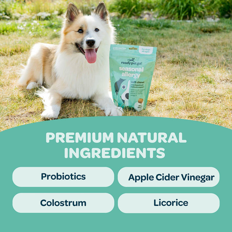 Dog Allergy Chews with Probiotics | Seasonal Allergy Chews for Dogs with Wild Alaskan Salmon Oil & Colostrum | Environmental Dog Allergy Support | NASC Certified & Made in The USA | 90 Chews - PawsPlanet Australia