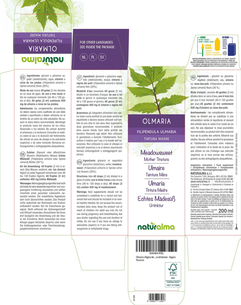 Meadowsweet (Filipendula ulmaria or Spirea ulmaria) Flowers Alcohol-Free Mother Tincture Naturalma - Liquid Extract Drops 200 ml - Food Supplement - Vegan 200 ml (Pack of 1)