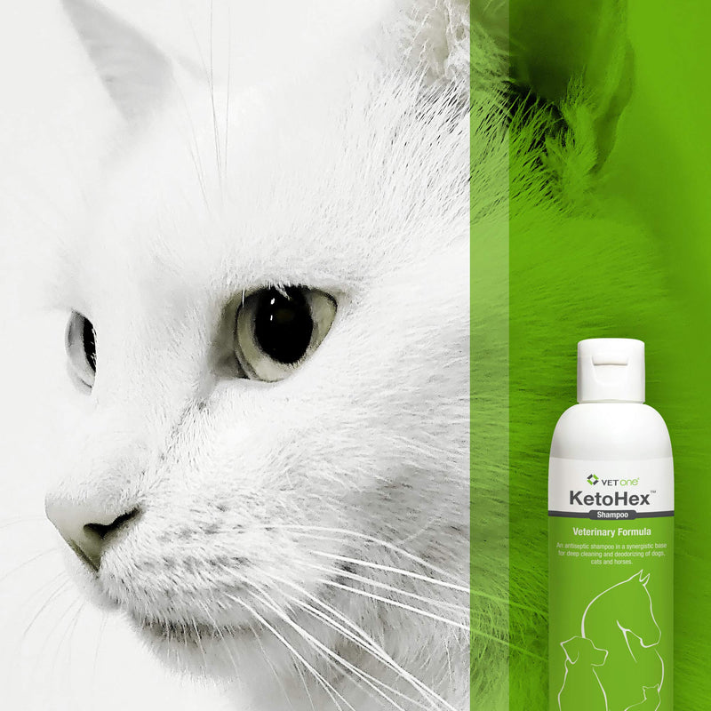 Vet One Dog Allergy Shampoo - Vet formula dog Shampoo for Dogs 8 oz - PawsPlanet Australia