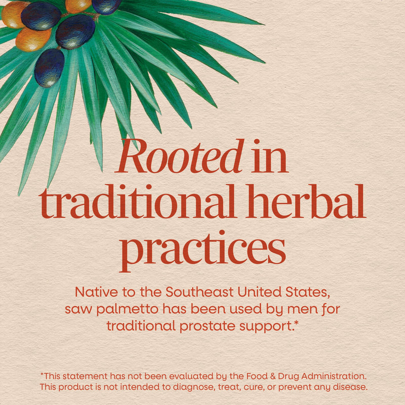 Nature's Way Saw Palmetto Berries, Traditional Prostate Support*, 180 ct | Herbal Supplement for Men, 585 mg per Serving, Non-GMO Project Verified, Vegan Capsules, 180 Vegan Capsules 180 Count (Pack of 1)