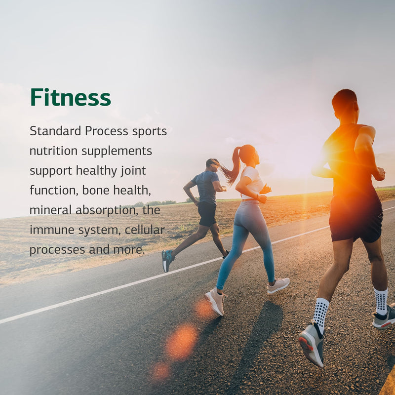 [Australia] - Standard Process Cataplex E2 - Vitamin E & Selenium Supplement for Cardiovascular & Cellular Health - Antioxidant Support for Heart Health - Non-Dairy & Non-Soy - 90 Tablets 