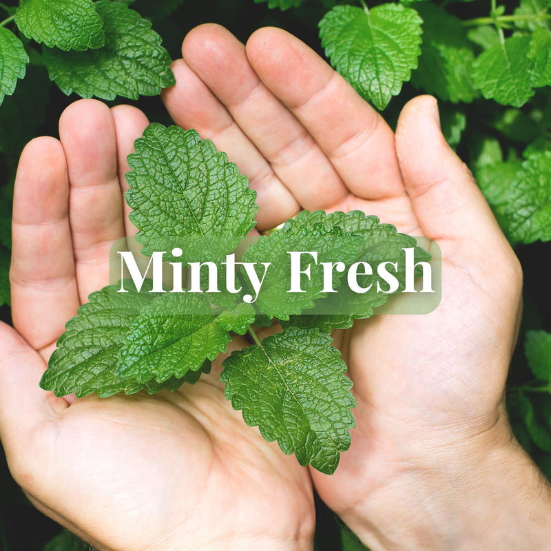 [Australia] - Calm Mints for Stress Relief ‚Äì Non-Drowsy Chewable Supplement for Relaxation, Calm and Stress Relief, with L-Theanine, GABA, and Vitamin D3, Natural Mint Flavor, Sugar-Free, 54 Count (54 Count, Mint) 