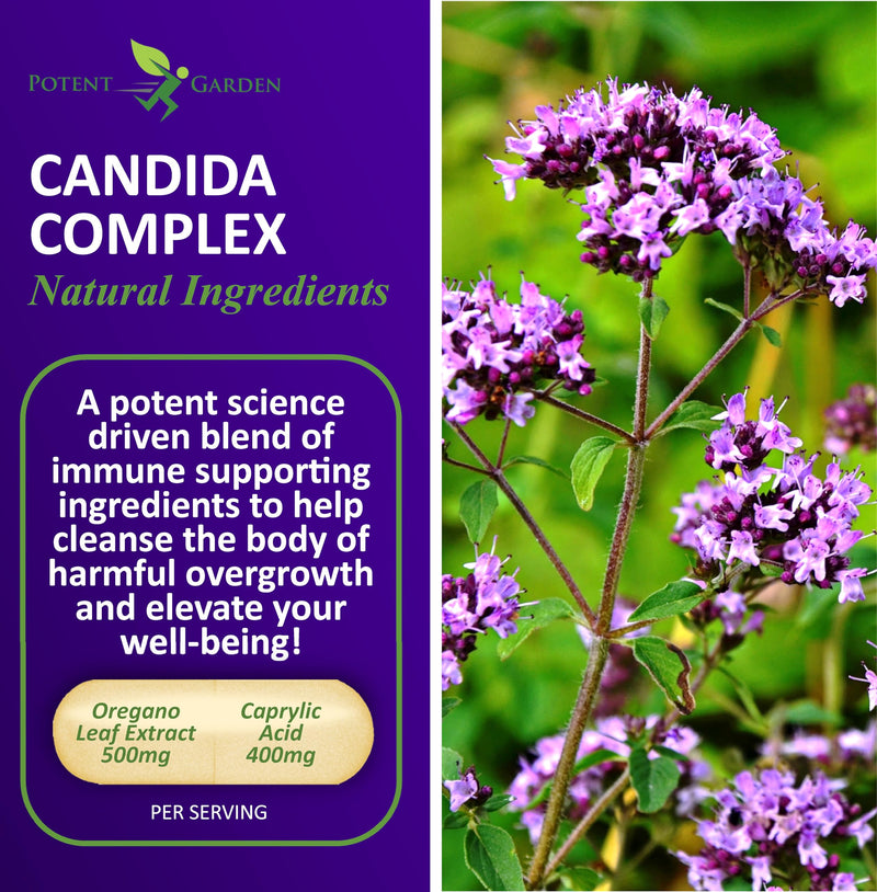 [Australia] - Candida Complex - Oregano and Caprylic Acid Blend, Gut Flora Balance Complex, Intestinal Health & Immune Support with Herbs & Probiotics, Gut Health Supplements for Women & Men 60 Count 