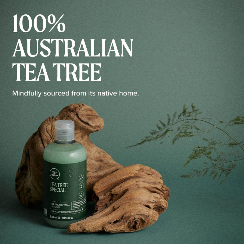 Tea Tree Special Shampoo, Deep Cleans, Refreshes Scalp, For All Hair Types, Especially Oily Hair 10.14 Fl Oz (Pack of 1)