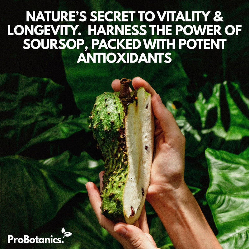 Soursop Capsules | Full Spectrum 13500mg 30:1 Extract Per Serving | Potent Antioxidant & Immune Support - 60 Capsules