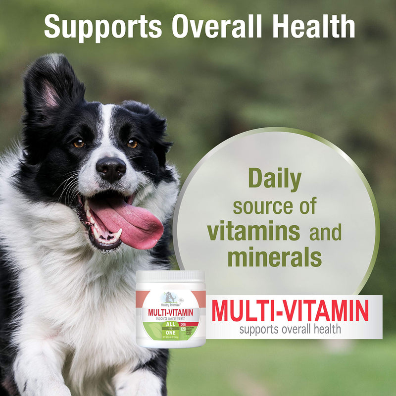 Four Paws Healthy Promise Dog Multivitamin Soft Chews 120 Count - PawsPlanet Australia