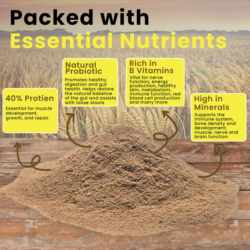 Food PURA 450g Brewers Yeast Powder - Non De Bittered- 100% Natural Source of B Vitamins, Protein & Minerals Supports Immune System, Healthy Skin, Hair & Nails