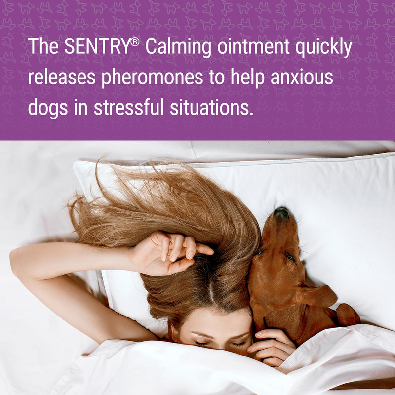 SENTRY Calming Ointment for Dogs, Fast-Acting Releif for Anxious Dogs, 1.5 oz - PawsPlanet Australia