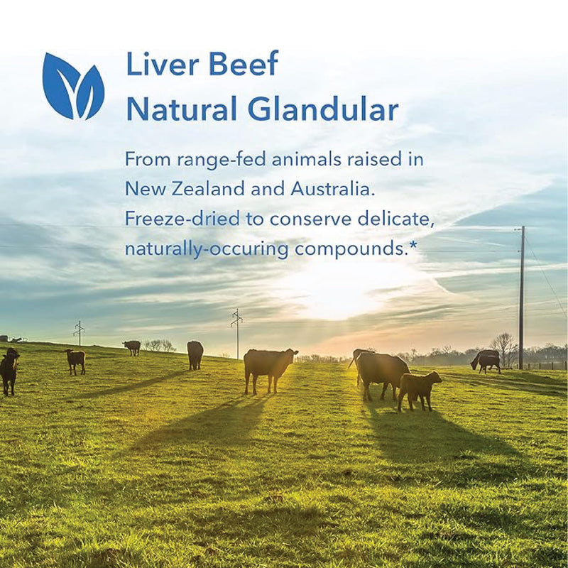 [Australia] - Allergy Research Group Beef Liver Supplement - Beef Liver Capsules 1000mg, Liver Function Support, Natural Glandular, Beef Liver Vitamins, 125 Count 