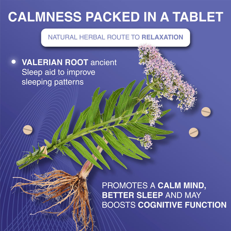High Strength: Valerian Root Tablets - 4000mg per Tablet - Stress Management Herbal Supplement - Valerian Root Supplement for Sleep Support - Vegan - FuelFinity® Standards 120 count (Pack of 1)