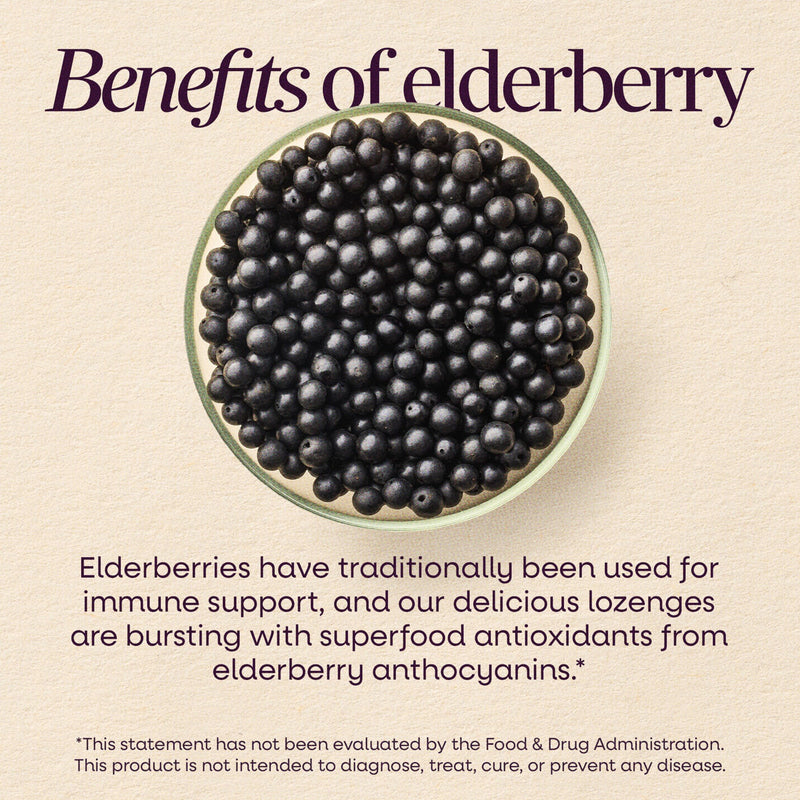 Nature's Way Sambucus Immune Lozenges, Elderberry Flavored, No Zinc, 24 ct | Elderberry Lozenges for On-the-Go Use with Vitamin C & Black Elderberry Extract, Vegan & Gluten-Free Immune Support* 30 Count (Pack of 1)
