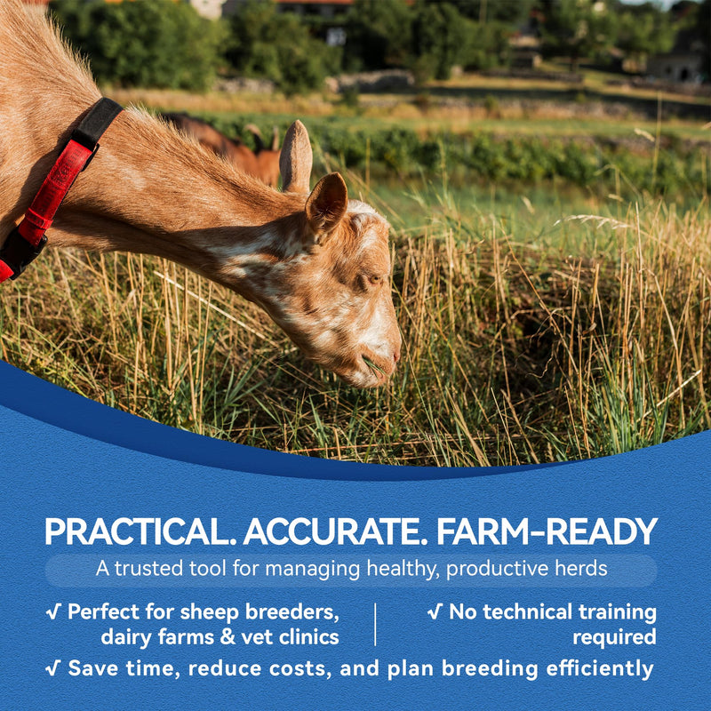 Sheep/Ovine/Goat Early Pregnancy (PAGs) Rapid Test Kit - 5 Tests, Hormones (PAGs), Whole Blood/Serum/Plasma Testing, Detect Pregnancy as Early as 28 Days Post-Breeding