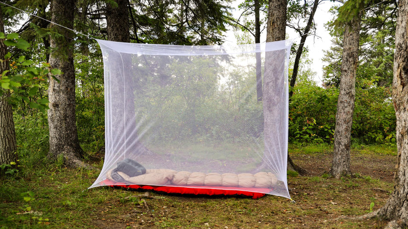 [Australia] - Coghlan's 9640 32x78 Mosquito Bed Net, Multicolor, single wide / 180-mesh 