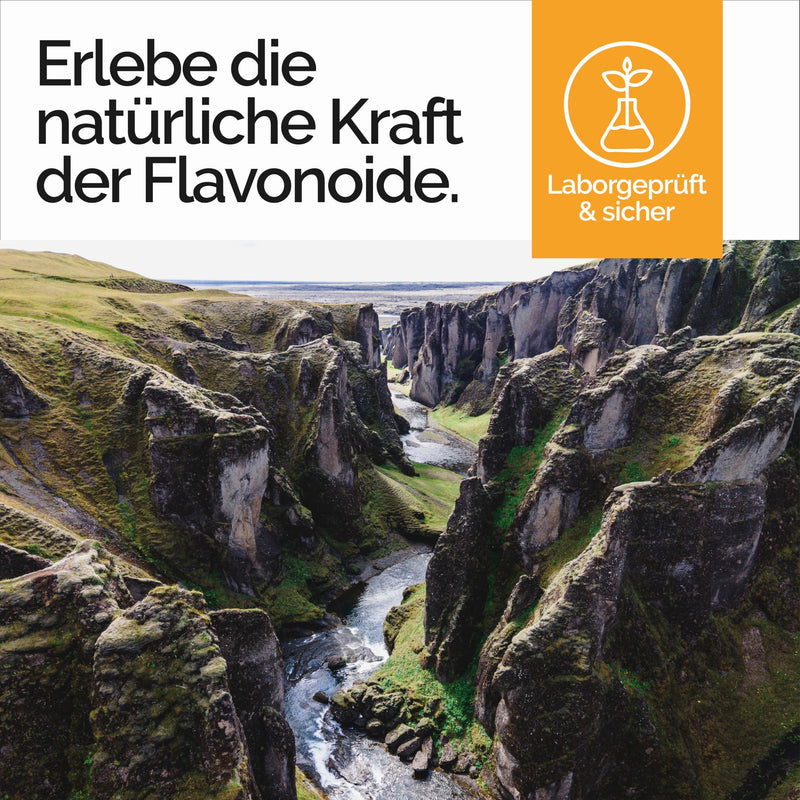 [Australia] - Cocoa flavonoids I 60 capsules I high dosage I 500 mg per daily dose I with cocoa flavanols (catechins) I made in Germany & laboratory tested 
