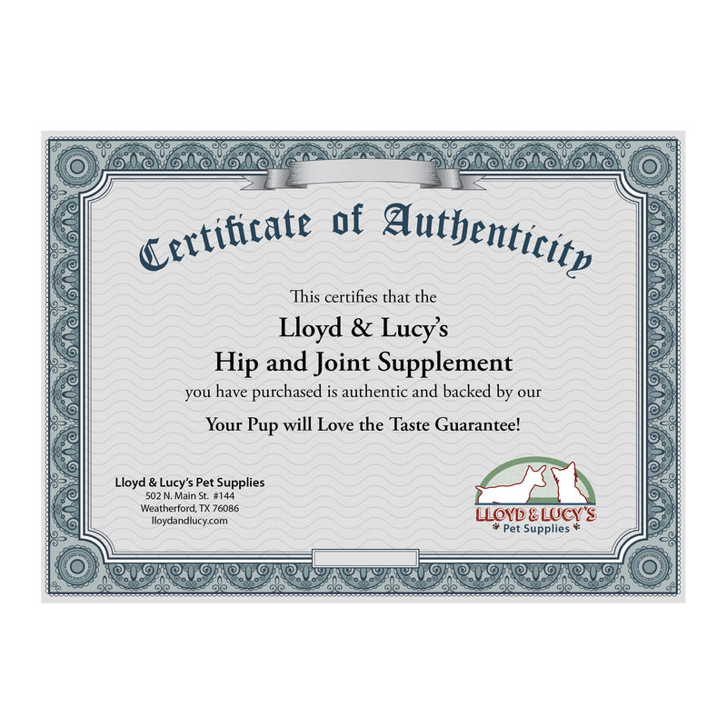 Lloyd & Lucy's Hip and Joint Supplement for Dogs - Chewable Multivitamin with Glucosamine, Chondroitin, MSM and Vitamin C - Healthy Liver Flavored Treat Pets Will Love - 180 Ct Tablets 180 Chewable Tablets - PawsPlanet Australia
