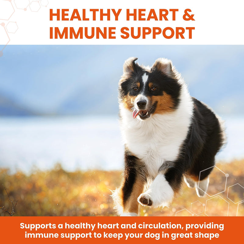 Garlic Health Supplement Tablets for Dogs, Healthy Heart, Vitality for Dogs, 240 Tablets - PawsPlanet Australia