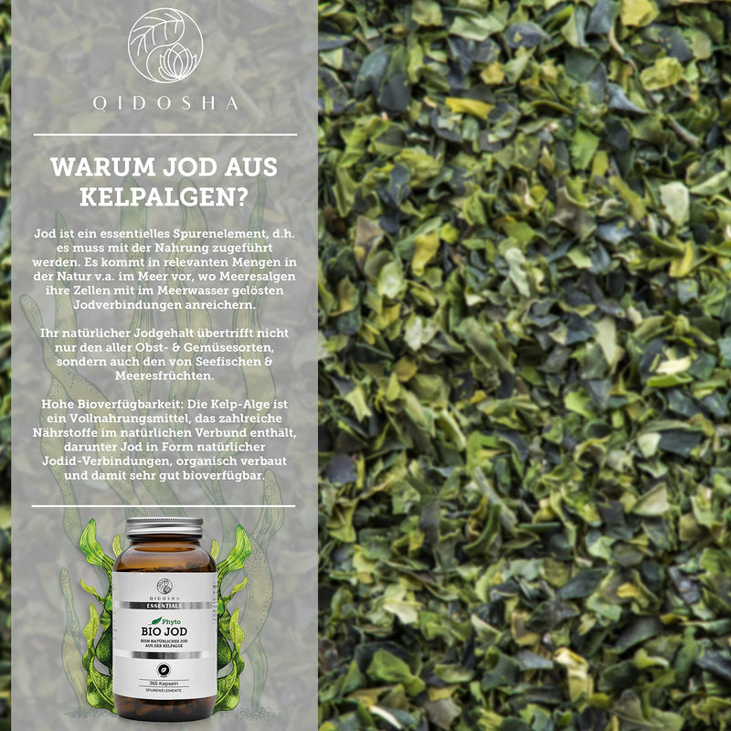 [Australia] - QIDOSHA® Iodine from organic kelp, 365 capsules in a pharmacist jar, vegetable iodine from organic kelp algae, vegan, each batch laboratory tested, German production 