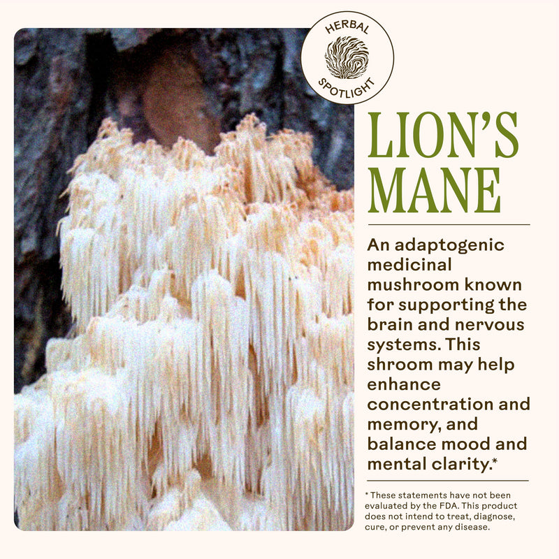 [Australia] - Wooden Spoon Herbs Brain Bloom | USDA Certified Organic Brain Supplement for Memory & Focus | 8 Herb Complex with Rosemary, Bacopa, & Lion's Mane | Gluten-Free, Non-GMO, Vegan (60 CT, Capsules) 