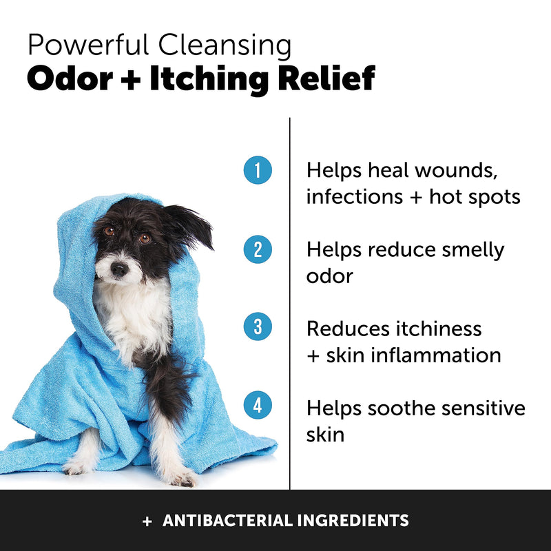 PetHonesty Chlorhexidine Shampoo + Allergy Support Soft Chew Bundle - All-Natural Dog Vitamins, Fish Oil for Dogs, Omega 3 for Dogs, Itch Relief, Shiny Dog Coat, Dog Shampoo for Allergies - PawsPlanet Australia