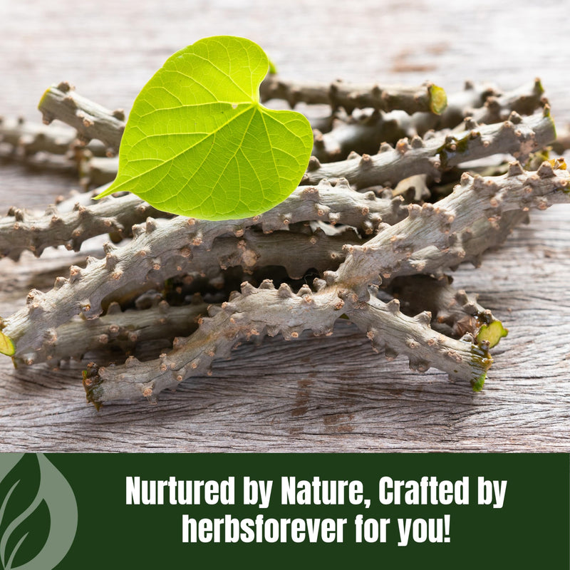 [Australia] - Guduchi Powder | Tinospora Cordifolia | Ayurvedic Herbal Supplement | Natural & Pure | Non-GMO, Vegan | 230 GMS | Traditional Herb for Everyday Wellness 