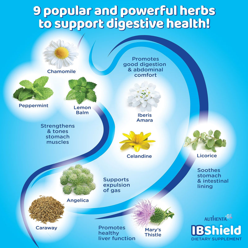 [Australia] - IBShield Glycerin Tincture 100ml | Supports Healthy Gastrointestinal Function | 9 Herb Blend | Chamomile, Iberis Amara, Angelica, Caraway, Celandine, Licorice, Lemon Balm, Mary's Thistle & Peppermint 