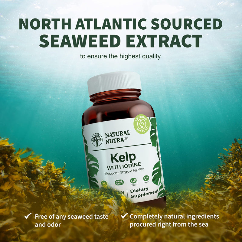 [Australia] - Natural Nutra Kelp Iodine Supplement, Helps Improve Brain Health, Strengthens Immune System, and Regulates Metabolism, Vegan Sea Kelp, Atlantic Sourced Seaweed Extract, 225 mcg, 100 Tablets 100 Count (Pack of 1) 