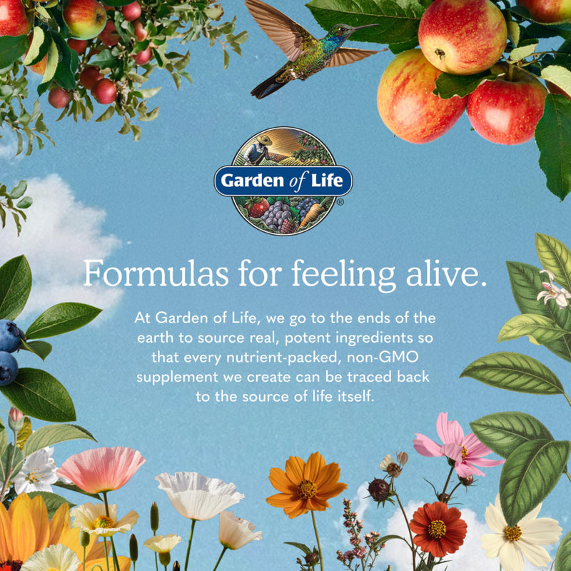 Garden of Life Organics Whole Food Multivitamin for Men 40+ 120 Tablets, Vegan Mens Multi for Health & Well-Being Certified Organic Whole Food Vitamins & Minerals for Men Over 40 Mens Vitamins | Prostate Support, B12 & Vitamins, Vegan, Daily Whole Food...