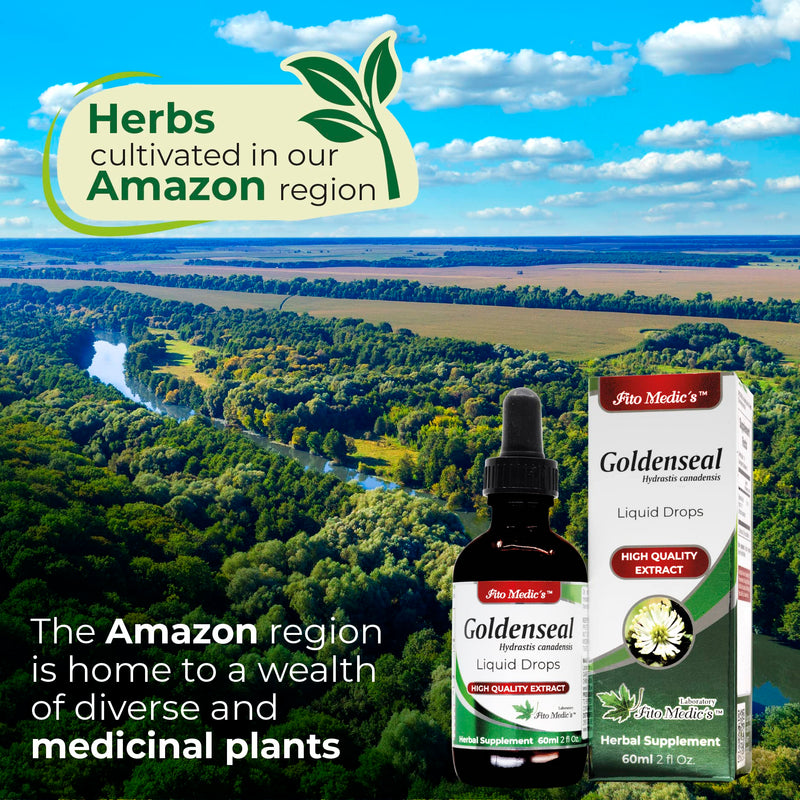[Australia] - FITO MEDIC'S Lab - Goldenseal, for Respiratory System Support, Ultra high Absorption, pure-goldenseal tincture, Alcohol Free. 