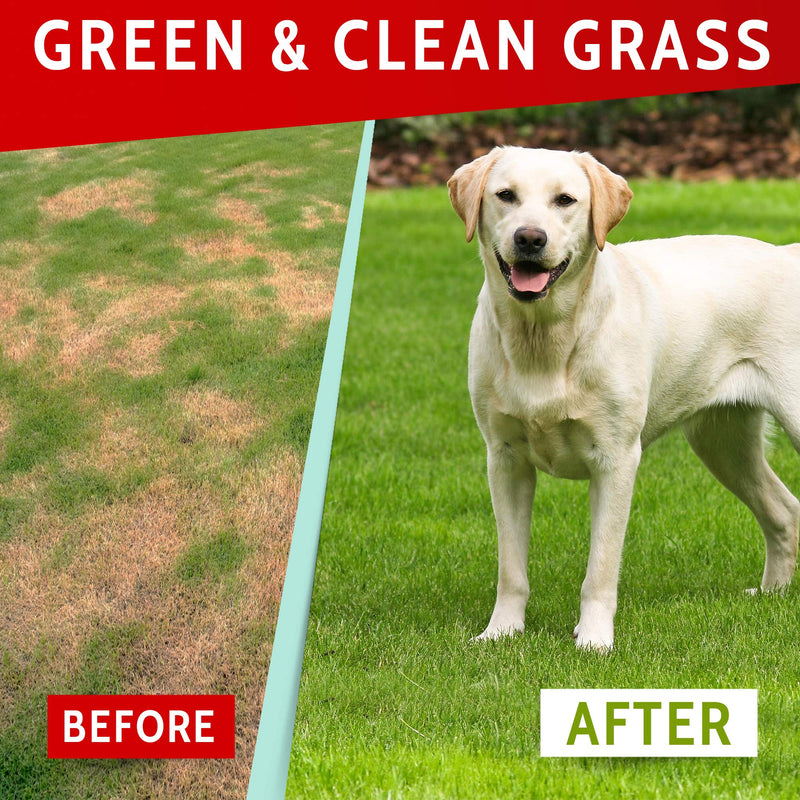 Dog Pee Grass Helper - Grass Treatment for Dog Urine - Dog Urine Neutralizer for Grass Burn Spots - Dog Pee Lawn Repair Treats with Probiotics - Made in USA - 120 Chews - PawsPlanet Australia