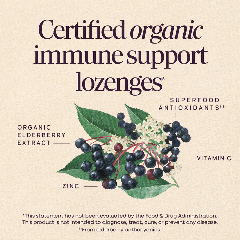 Nature's Way Sambucus Immune Lozenges, Peppermint Flavored Lozenges, 24 ct | Lozenges for On-the-Go Use with Zinc, Vitamin C & Black Elderberry Extract, Certified Organic, Vegan Immune Support* 24 Count (Pack of 1)