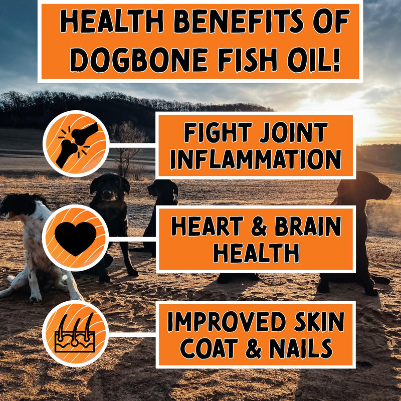 DogBone Wild Alaskan Fish Oil for Dogs 32 oz | Salmon Oil for Dogs | Dog Fish Oil | Omega 3 for Dogs | Dog Joint Supplement | Dogs Vitamins and Supplements | Salmon Oil for Dogs Skin and Coat - PawsPlanet Australia