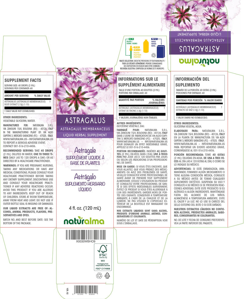 [Australia] - Naturalma Astragalus (Astragalus membranaceus) root Alcohol-free Tincture - 4 fl oz Liquid extract in drops - Herbal supplement - Vegan 4 Fl Oz (Pack of 1) 