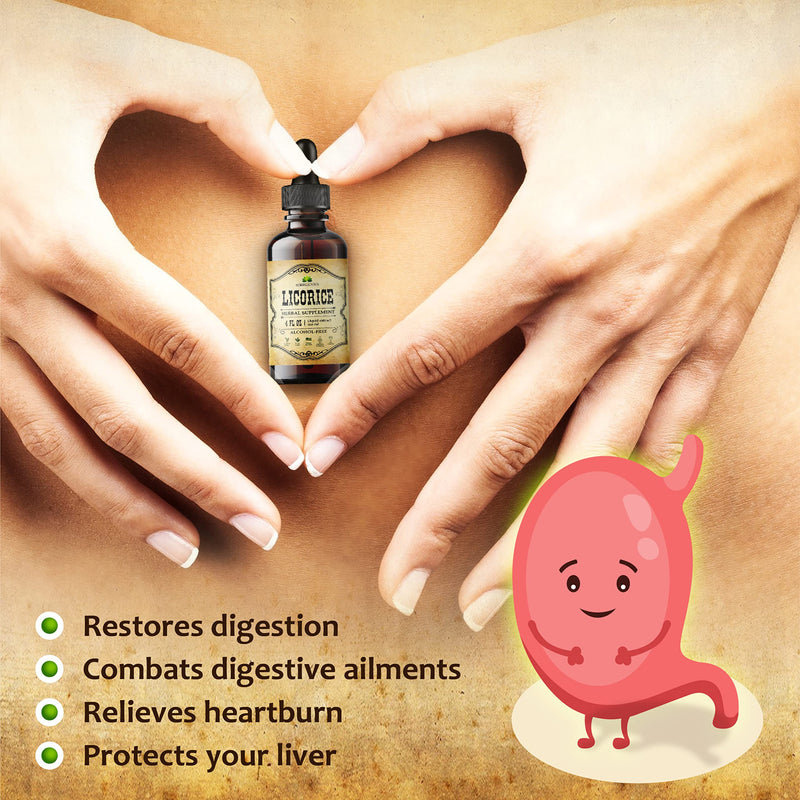 [Australia] - Licorice Root Extract 4Fl oz - Glycyrrhiza Glabra - Organic Herbal Supplement for Digestion Restore Respiratory Health Fatigue & Immunity Support Vegan Gluten Free Liquid Tincture 4 Fl Oz (Pack of 1) 