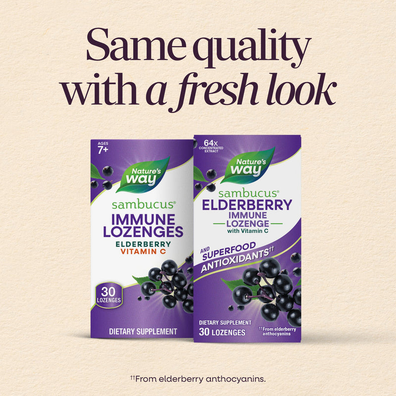 Nature's Way Sambucus Immune Lozenges, Elderberry Flavored, No Zinc, 24 ct | Elderberry Lozenges for On-the-Go Use with Vitamin C & Black Elderberry Extract, Vegan & Gluten-Free Immune Support* 30 Count (Pack of 1)