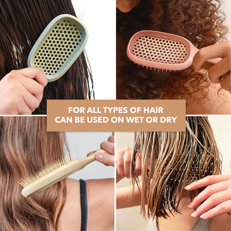 [Australia] - TADA Natural Beauty Hair Brush Detangler for Curly, Thick, Wavy, and Thin Hair - Ventilation Holes for Quick Drying and Styling, Detangler Brush for Women, Men, Kids (4 Colors) (2PK #2) 2PK #2 